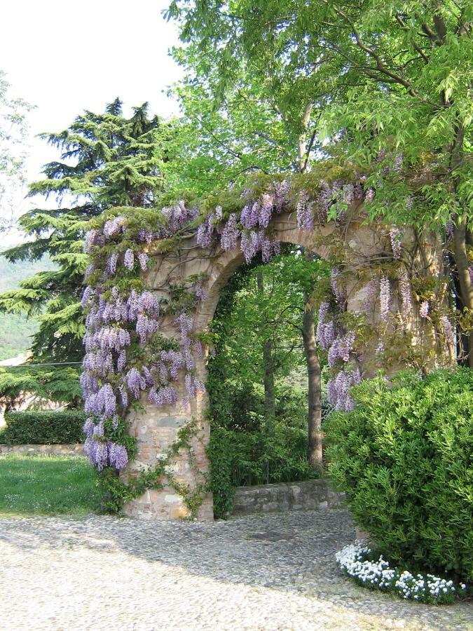 B&B Il Dosso Corte Franca Dış mekan fotoğraf