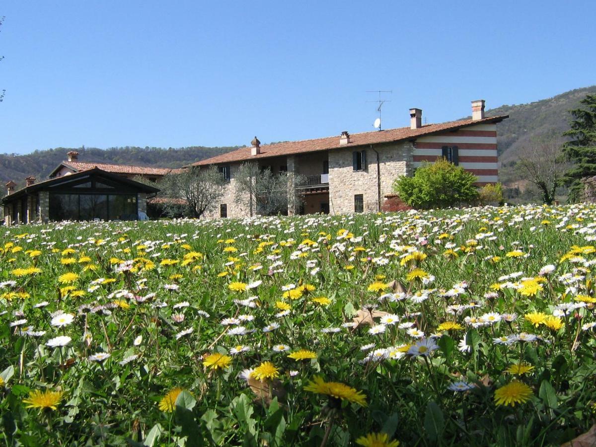 B&B Il Dosso Corte Franca Dış mekan fotoğraf
