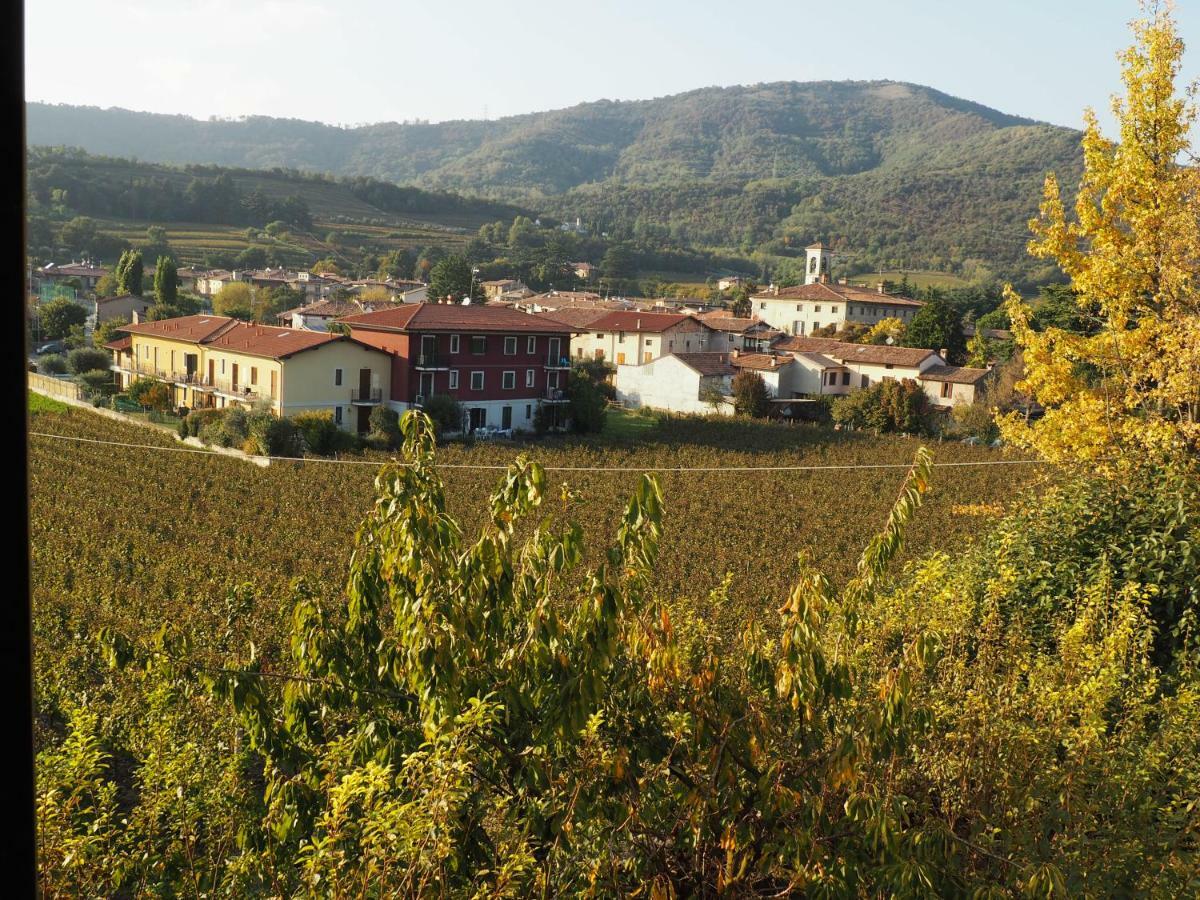B&B Il Dosso Corte Franca Dış mekan fotoğraf